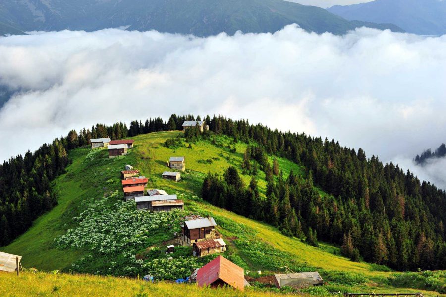 Pokut Yaylası Turu