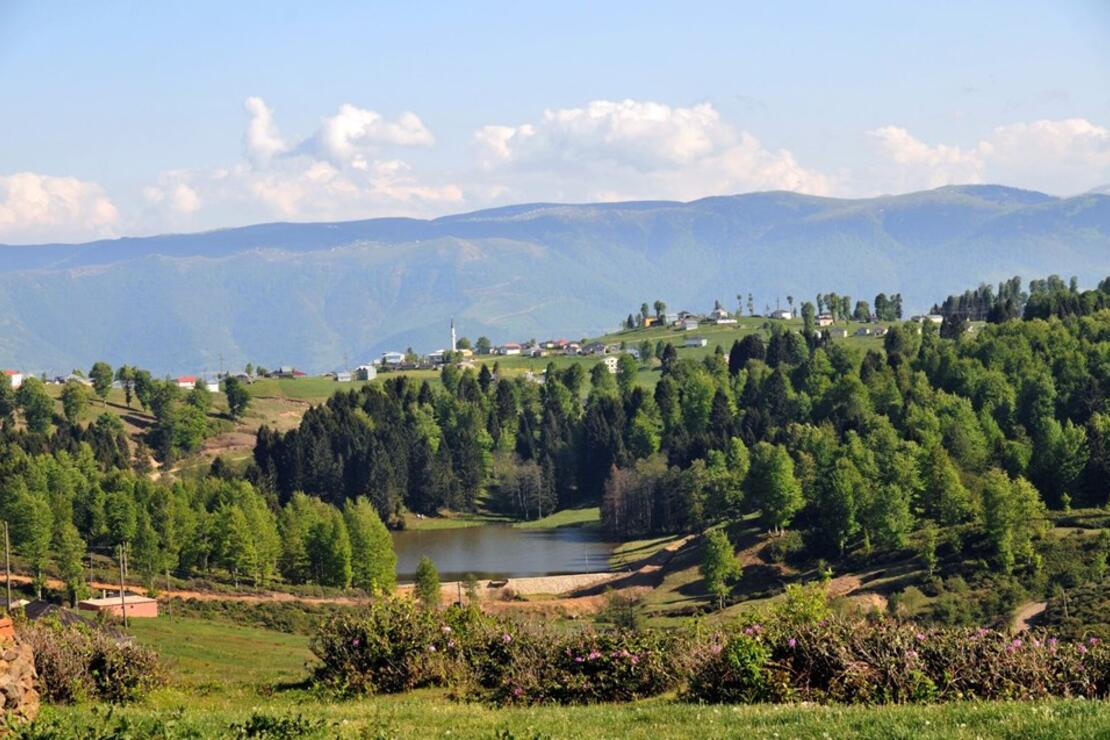 Alya Travel Trabzon