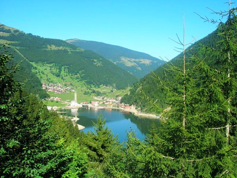 Alya Travel Trabzon