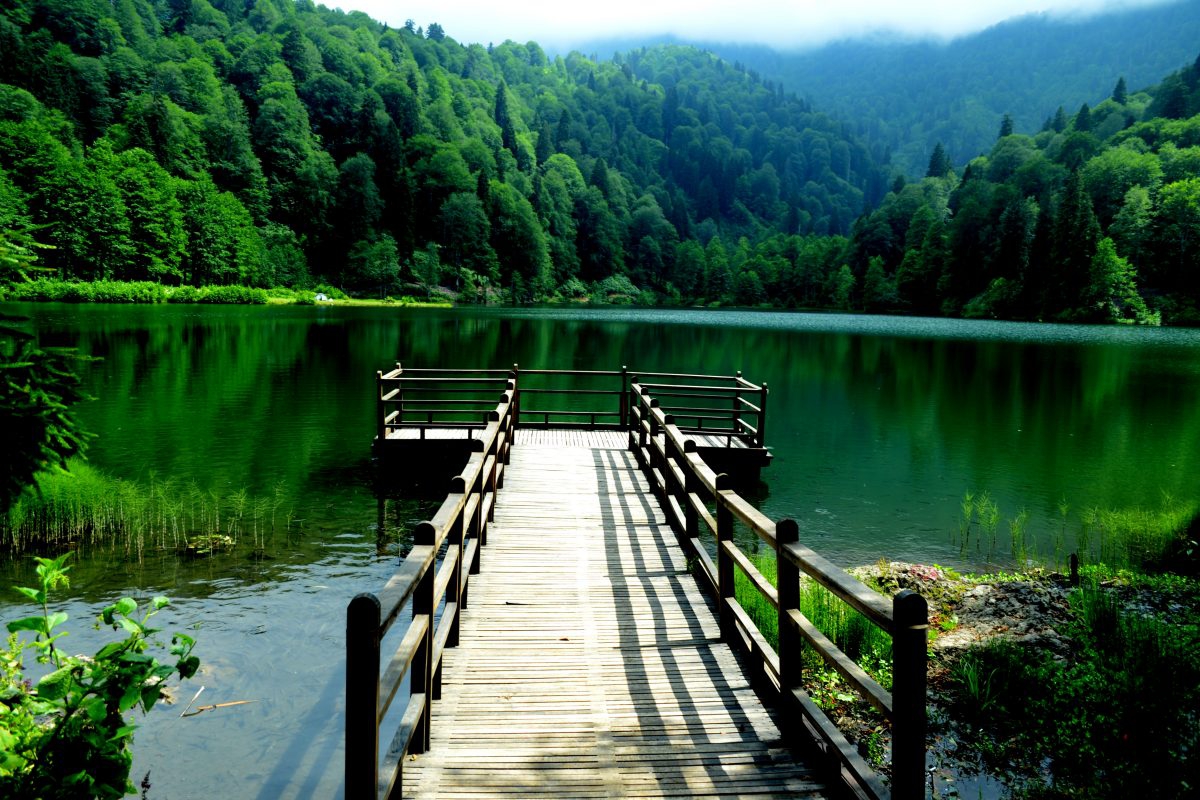 Alya Travel Trabzon