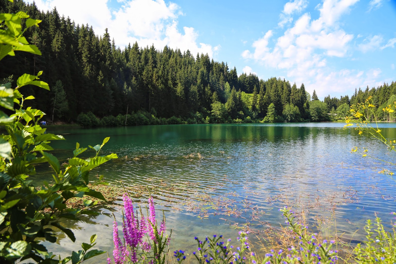 Alya Travel Trabzon