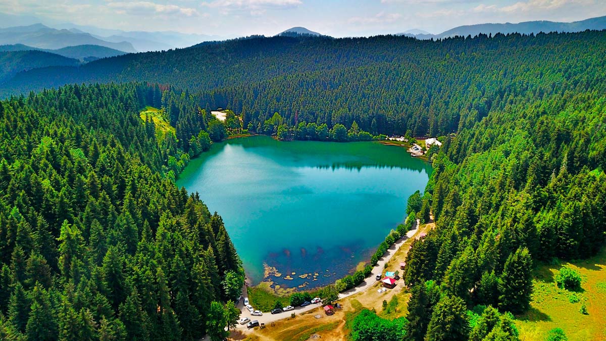 Alya Travel Trabzon