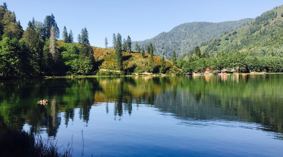 Alya Travel Trabzon
