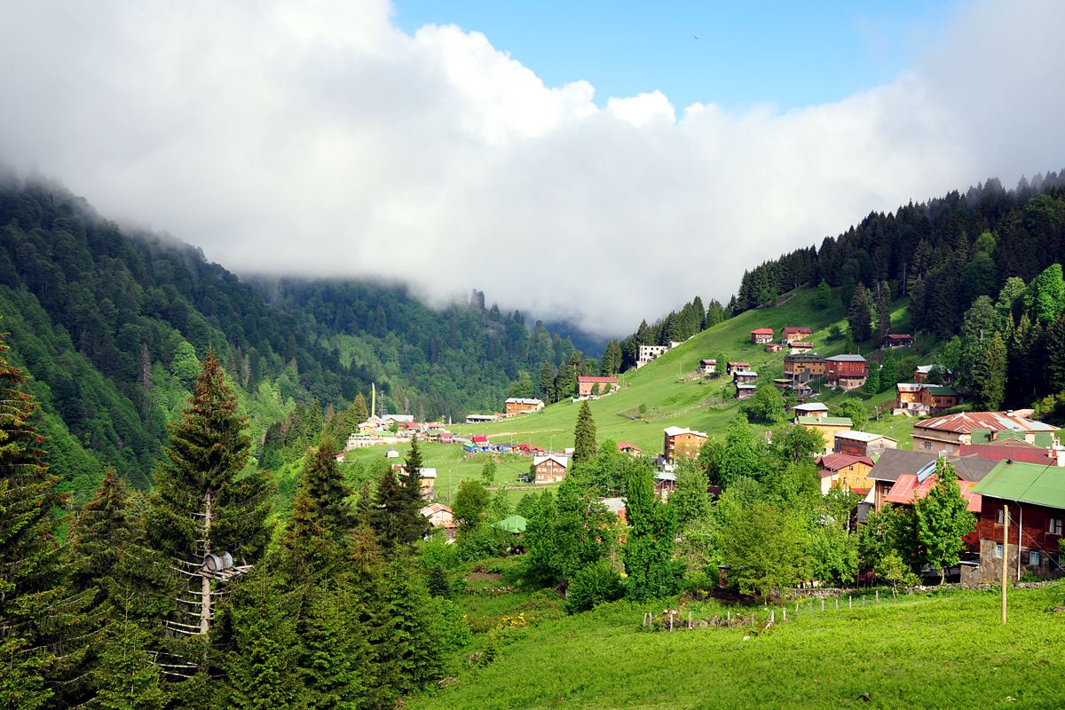 Alya Travel Trabzon