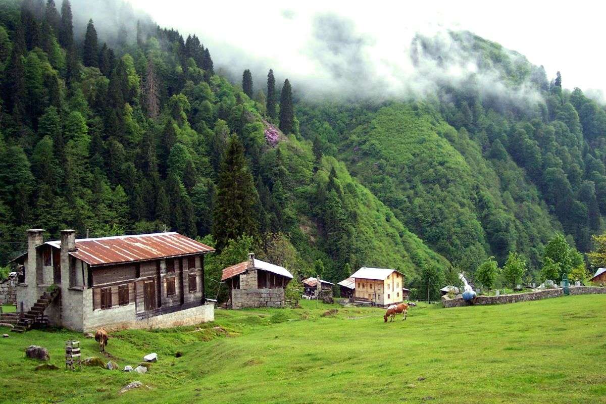 Alya Travel Trabzon