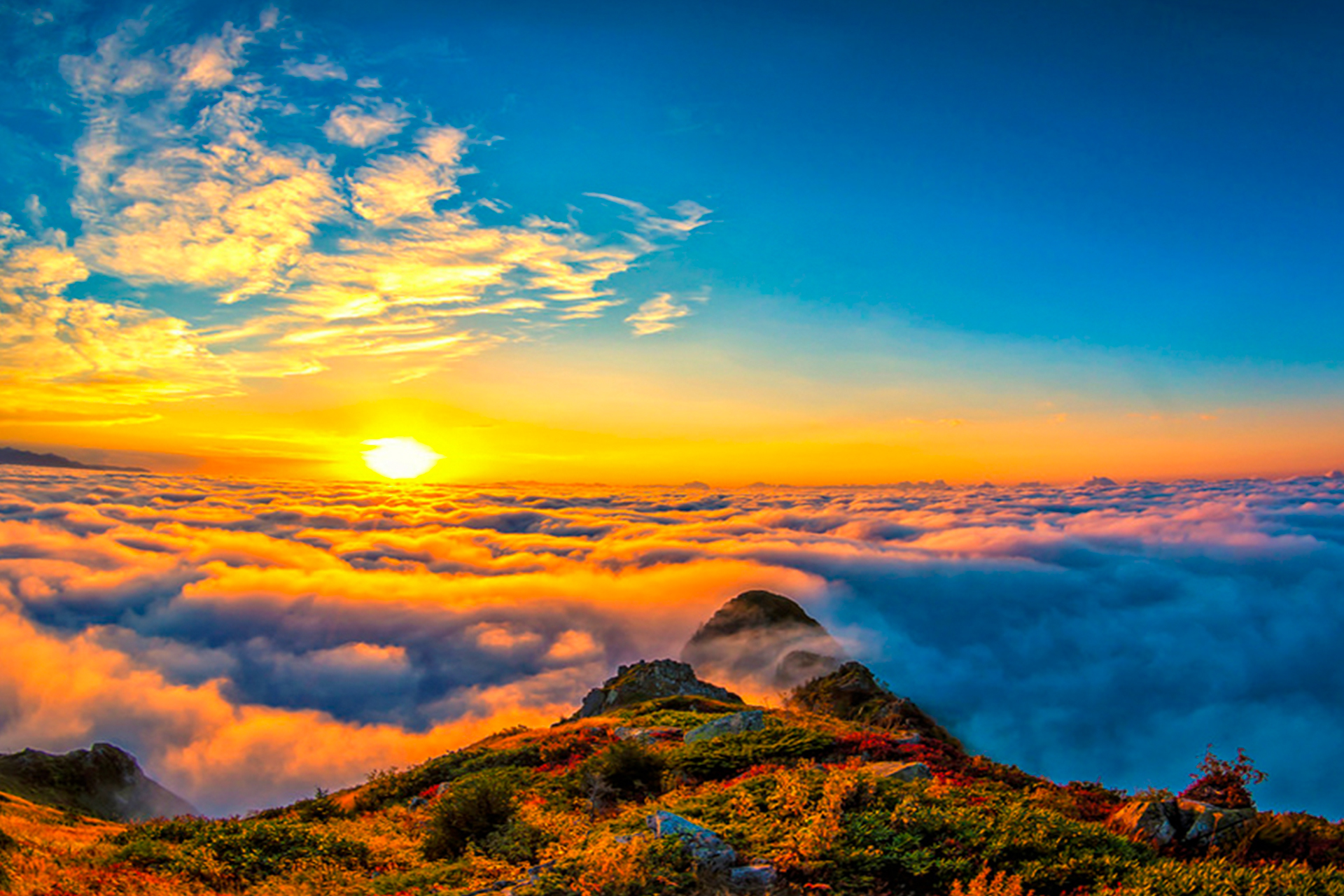 Alya Travel Trabzon