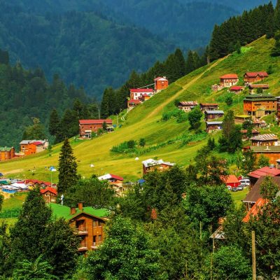 Rize