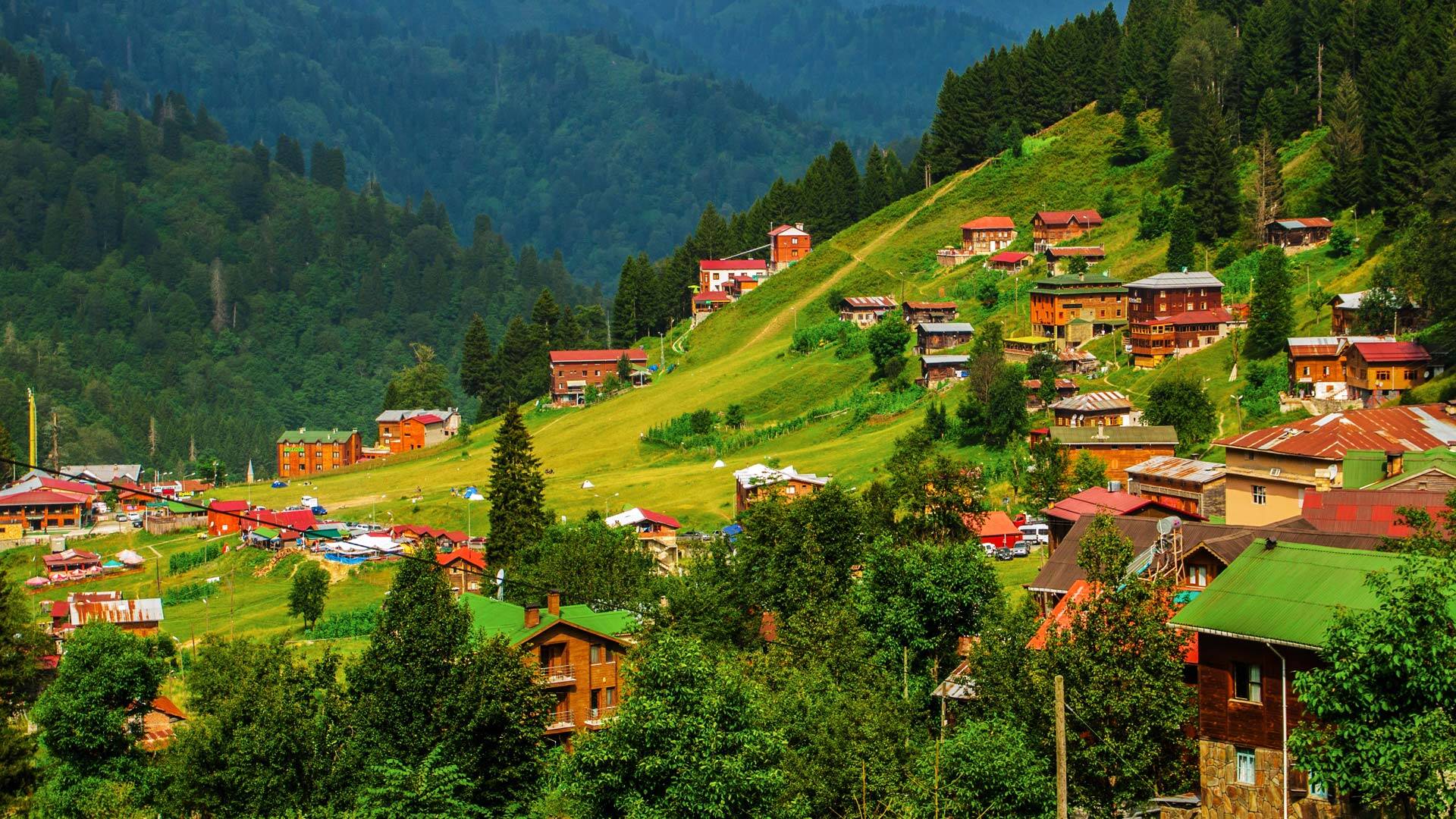 Alya Travel Trabzon