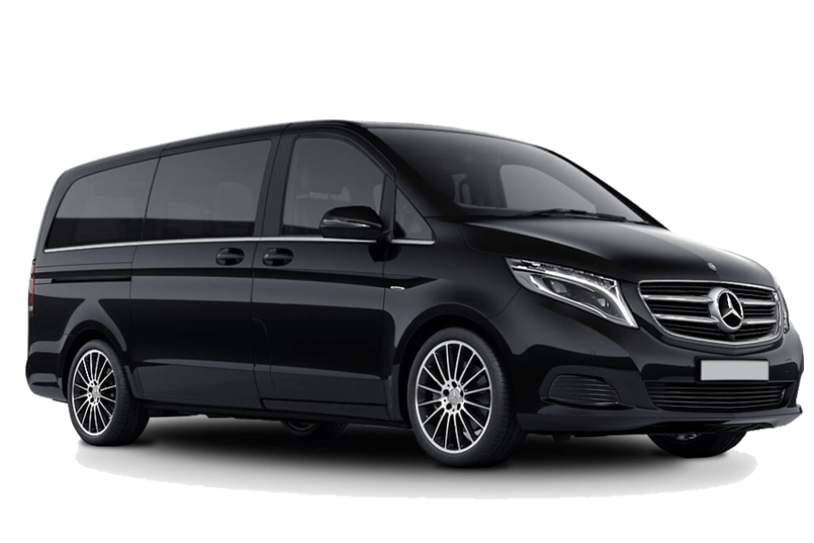 Mercedes Viano